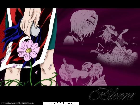 :rotfl: wallpapers cu pers din anime-uri